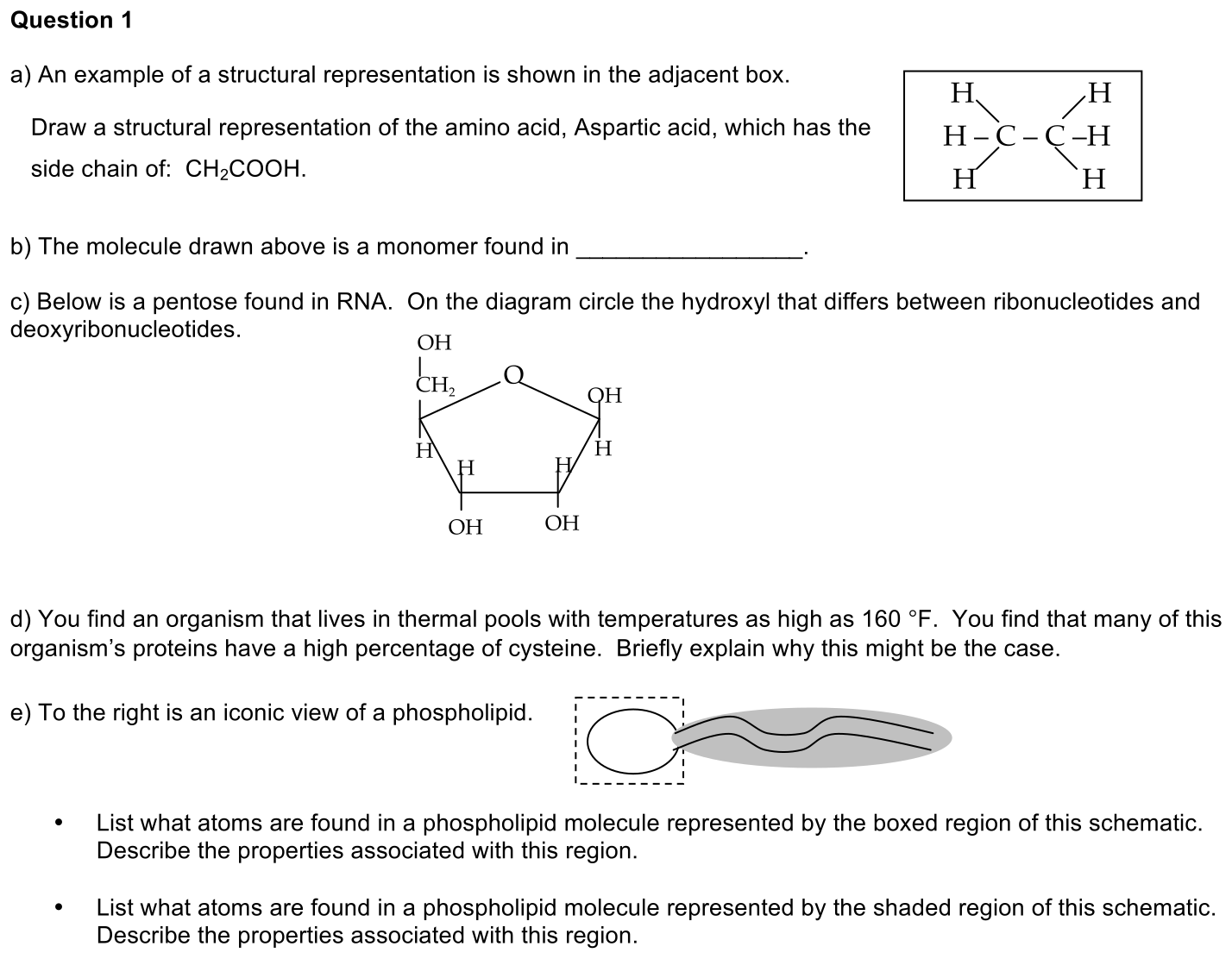 exam1-1-prompt-1