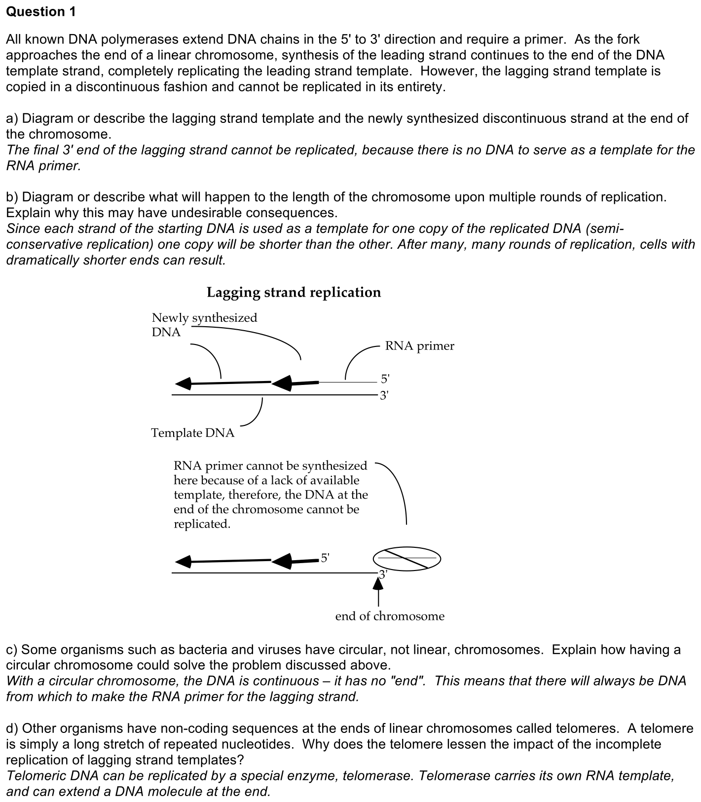 2.4-1-solution-1
