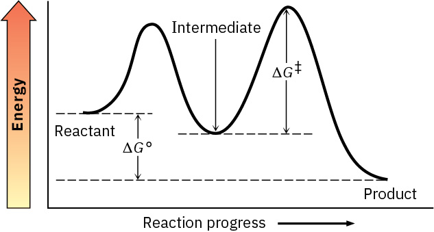 Energy diagram shows large barrier to transition state, intermediate lower in energy than reactant, large barrier (higher than first) to second transition state, low energy product.