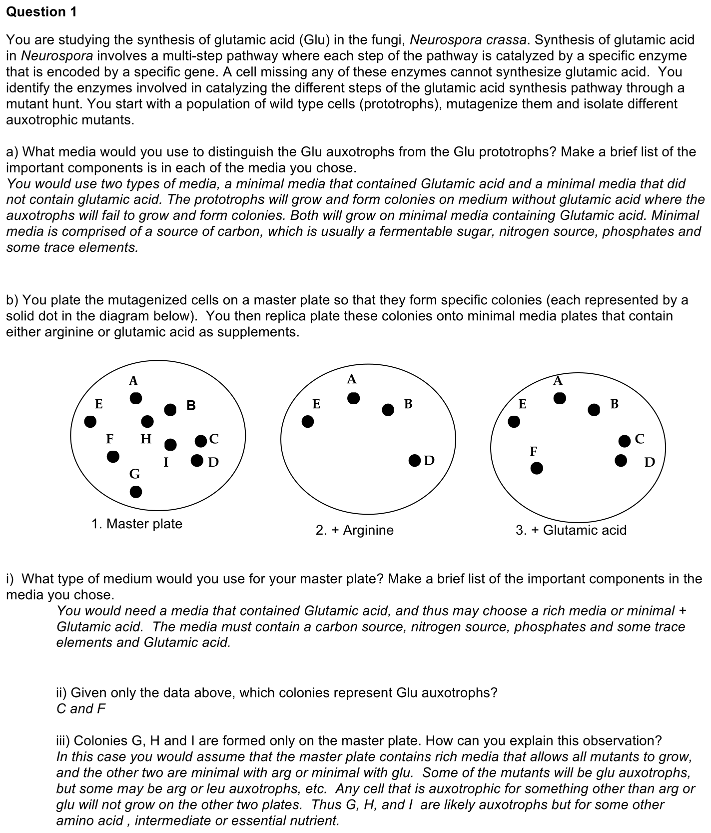 3.4-1-solution-1