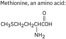 The chemical structure of methionine which is an amino acid.