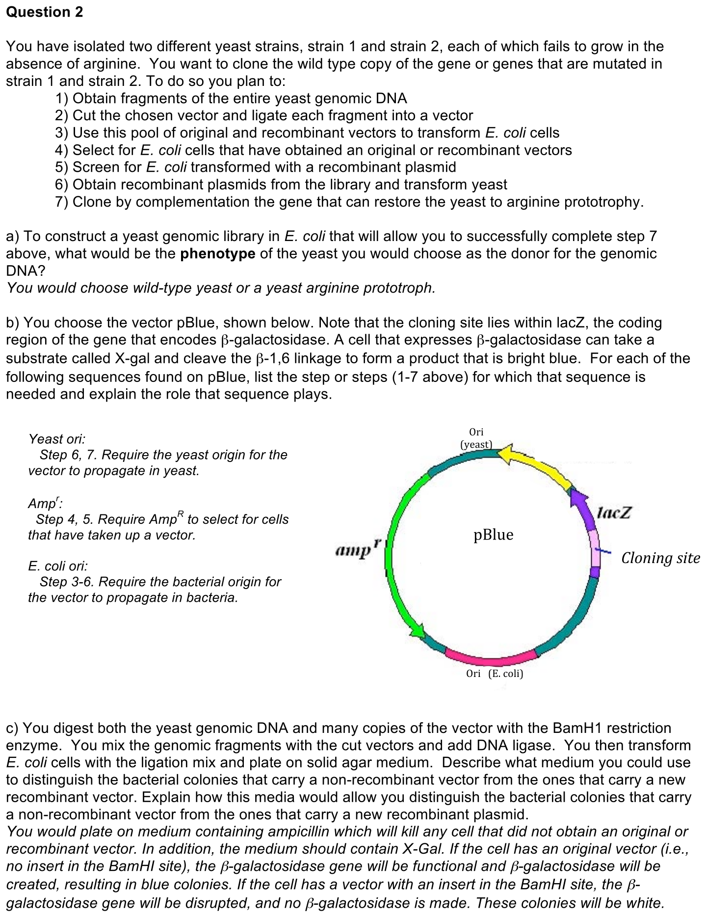 exam4-2-solution-1