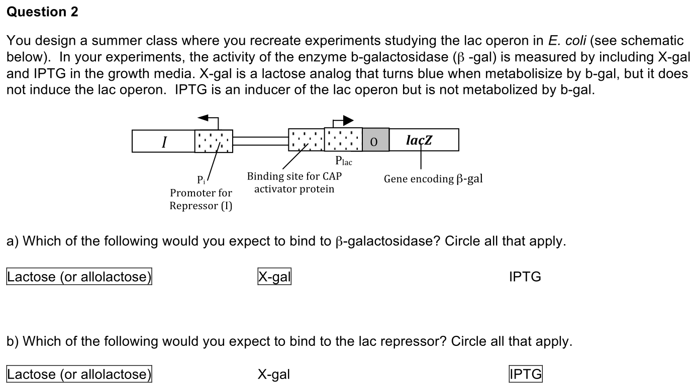 2.5-2-solution-1