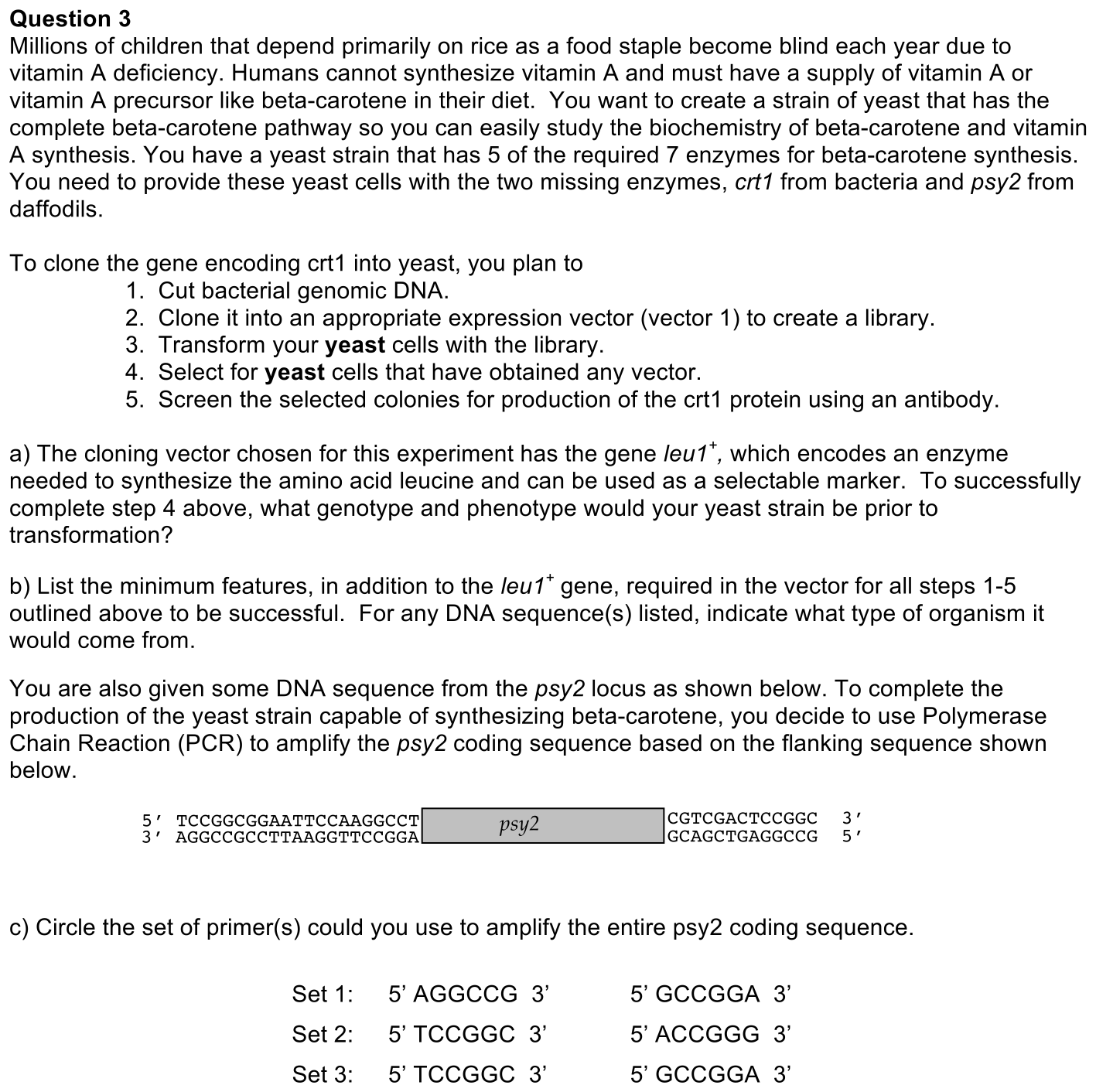 exam4-3-prompt-1