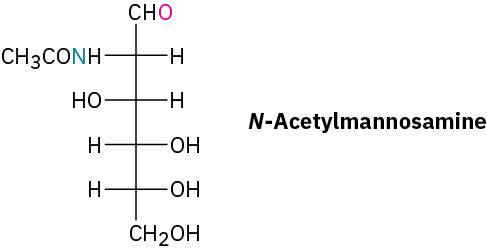 Fischer projection of N-acetylmannosamine. It is a hexosamine monosaccharide with chemical formula C 8 H15 N O 6.