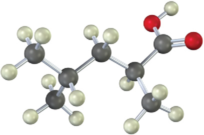 A ball-and-stick model of a compound comprising a five-carbon chain with a carboxylic acid group at C 2 and a methyl group at C 4.