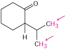 Chemical structure of 2-isopropylcyclohexanone. Two arrows point toward the highlighted hydrogens on isopropyl terminals.