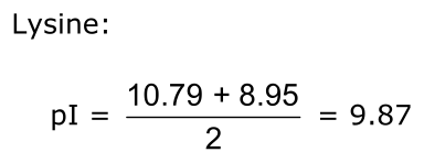 Answer 2