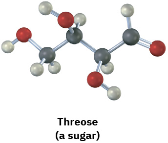 The ball-and-stick model of threose (a sugar) where gray, black, and red spheres represent hydrogen, carbon, and oxygen, respectively.