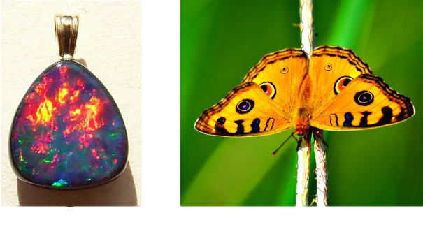 Figure a is a photograph of an opal pendant reflecting various colours. Figure b is the photograph of a butterfly.
