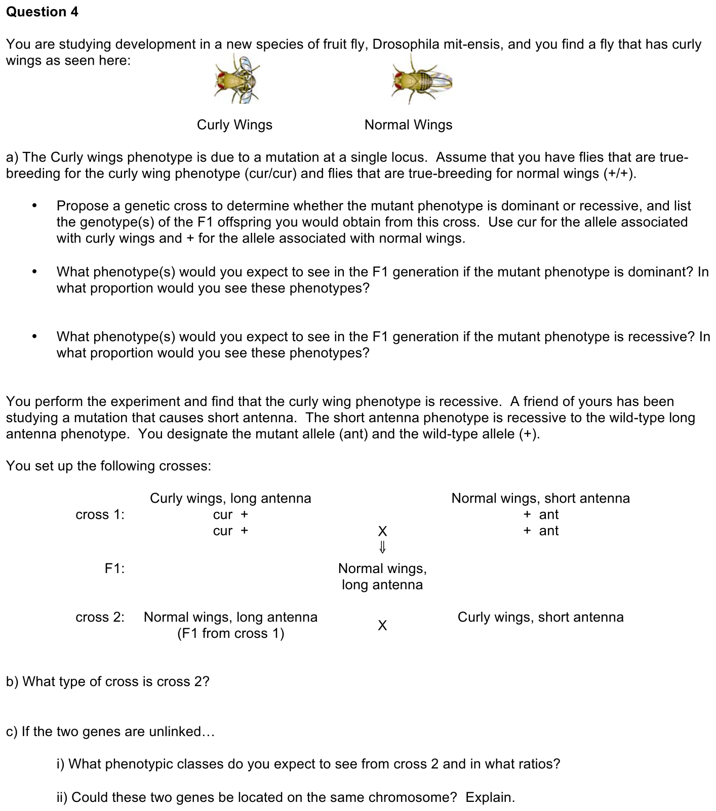 exam3-4-prompt-1