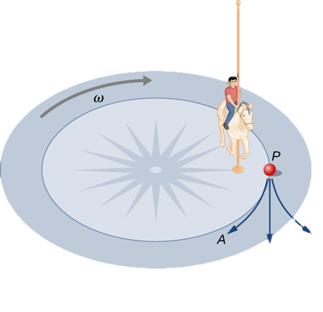 An illustration of the circular base of a merry-go-round with a single horse and child on it. The angular velocity, omega, is clockwise, shown here with an arrow. A point P is shown near the horse, on a circle concentric with the merry-go-round. Three arrows are shown coming out of point P, depicting the three possible path of the lunch box. Path A curves into the circle, to the right from the perspective of the box. Path B is straight, tangent to the circle. Path C curves to the left from the perspective of the box, out of the circle.