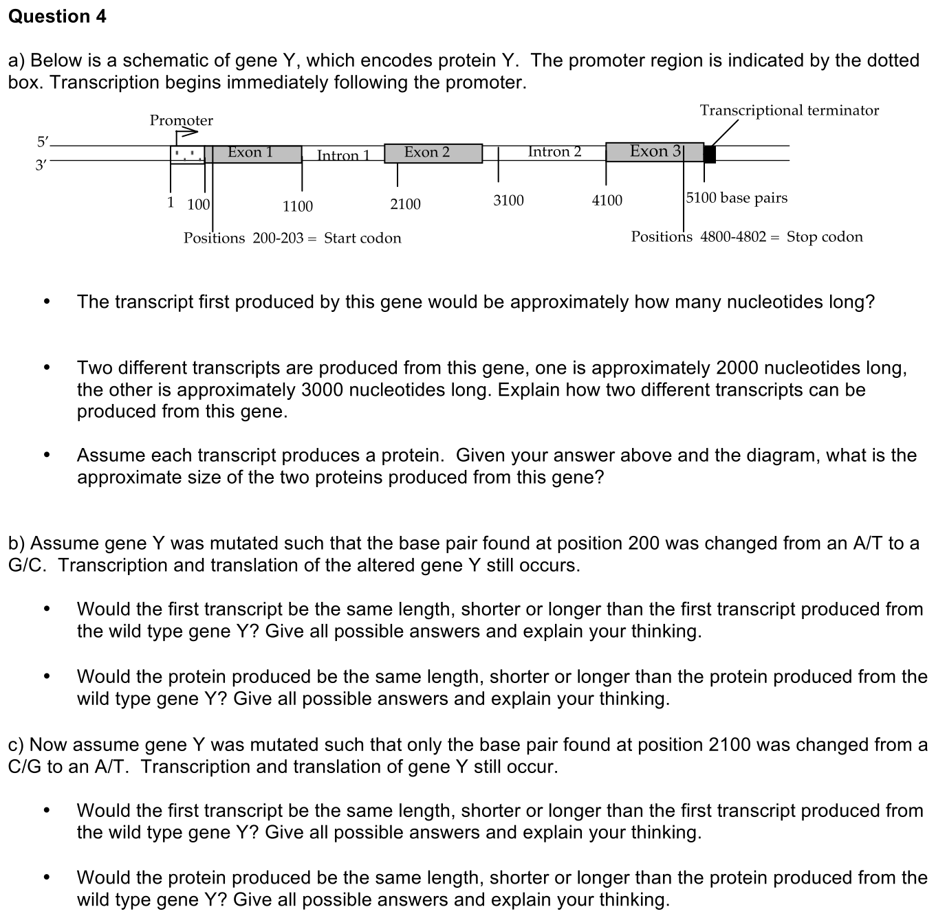 exam2-4-prompt-1