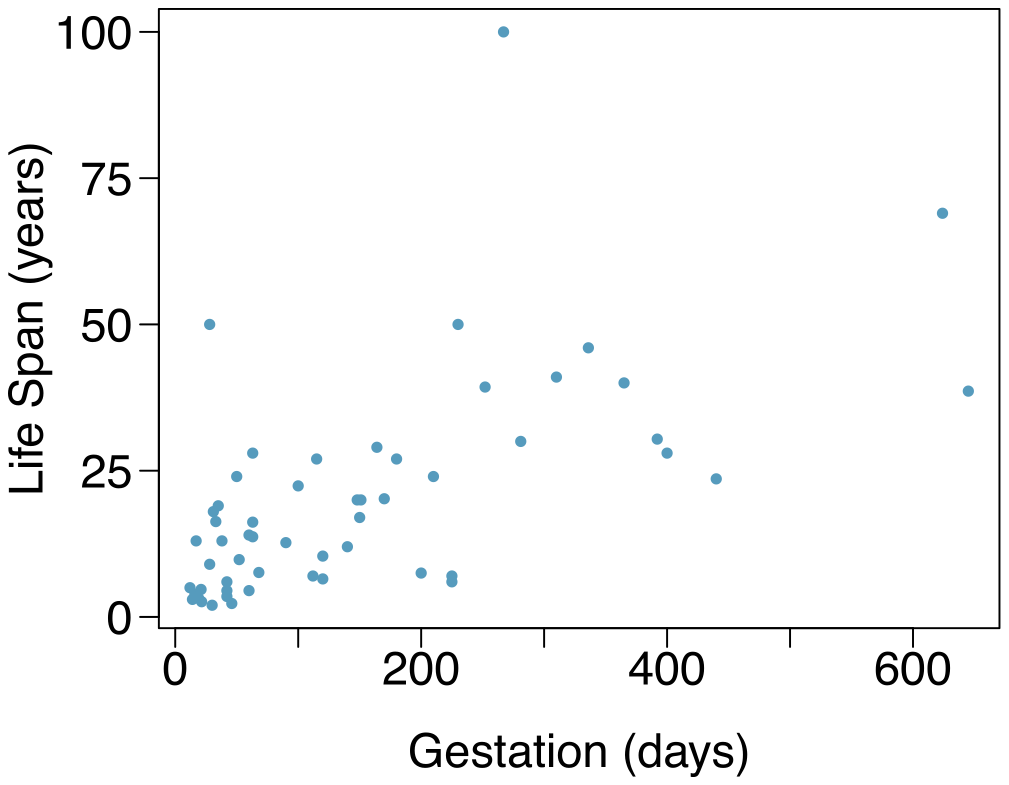 A scatterplot of 62 points is shown. The variable ”Gestation” is shown along the horizontal axis with a range of 0 days to about 650 days. The variable ”Life Span” is shown along the vertical axis with a range of 0 years to 100 years. The a large cluster of points is shown between 0 to 250 gestational days and 0 to 30 years. Outside of this cluster, there is one point at approximately (10, 50). There is another cluster of points between 250 and 450 gestational days and 25 and 50 years. Beyond the points so far described are three points located at (250 days, 100 years), (640 days, 70 years), and (650 days, 45 years).
