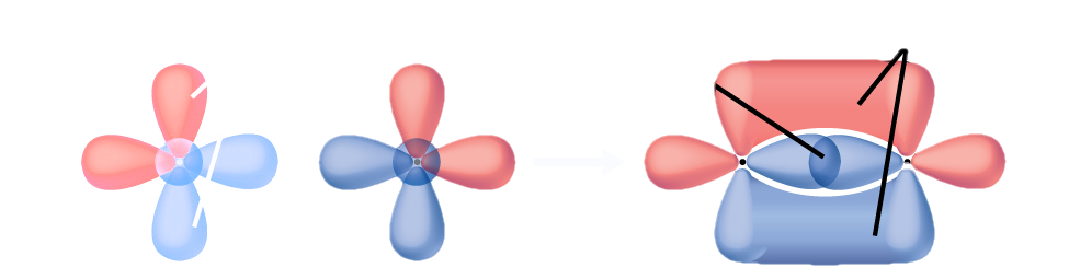 This figure shows the orbitals of two atoms being added together as they form bonds. The two atoms are shown separately on the right, each having two peanut-shaped orbitals lying perpendicularly to one another. A right-facing arrow shows that the two have moved closer together and now the upper and lower portions of the vertical peanut-shaped orbitals are shown as merging together above and below the plane of the molecule while the horizontal peanut-shaped orbitals are overlapping between the two nuclei.