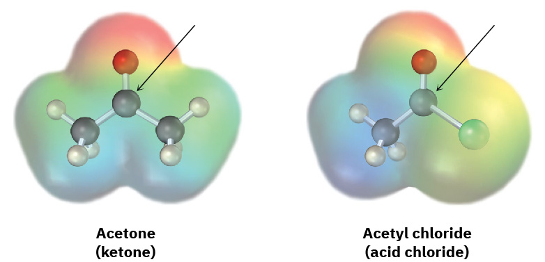 The ball-and-stick model in electrostatic potential maps of acetone (ketone) and acetyl chloride (acid chloride). An arrow points toward the carbon atom that is bonded with oxygen.