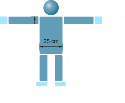 A diagram of several masses arranged to look like a model of a person is shown. At the top is a sphere, radius 8 cm. Centered below it is a rectangle 25 cm wide horizontally and 60 cm tall that looks like the body of the person. On either side of the rectangle are rectangles measuring 60 cm horizontally and 5 cm tall that look like the outstretched arms. The tops or the arms are aligned with the top of the body, and each arm extends out from the sides of the body horizontally. At the end of each arm is a 5 cm wide square. Below the body are the legs. Each leg is 70 cm tall and 8 cm wide. The tops of the legs are aligned with the bottom of the body. The outer sides of the legs are aligned with the sides o the body. Below each leg are the feet, which are 3 cm tall and 15 cm wide. The inner side of each foot is aligned with the inner side of the leg above it.