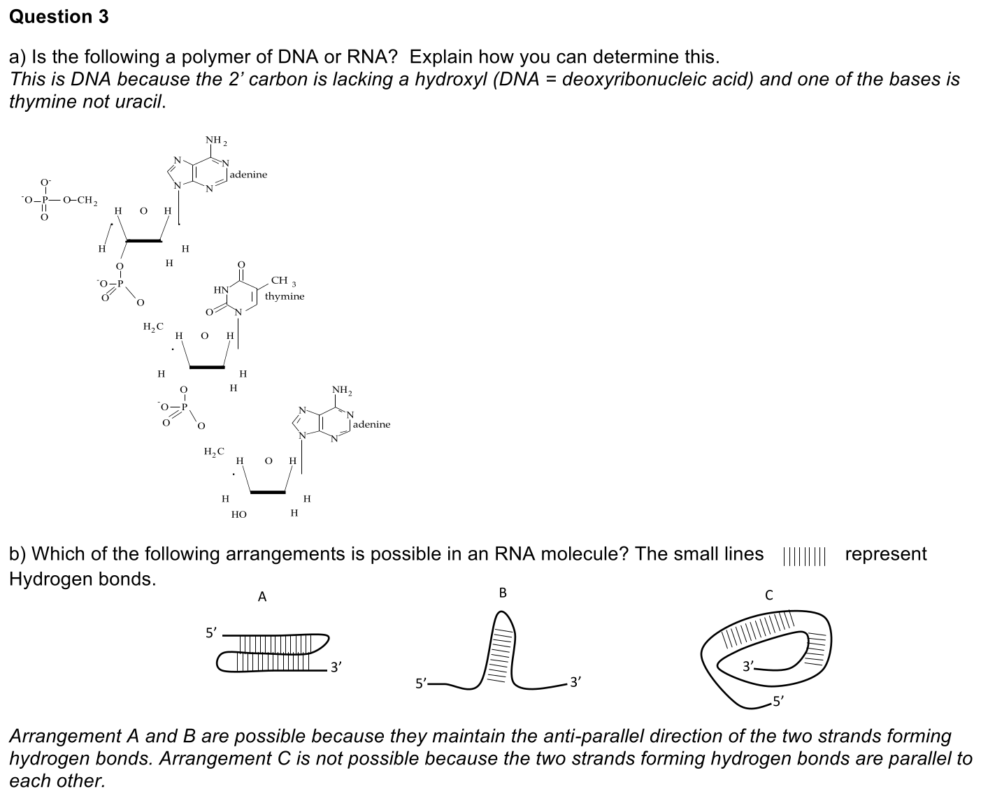 1.3-3-solution-1
