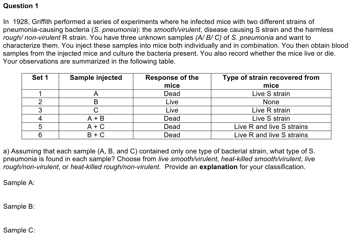 2.1-1-prompt-1