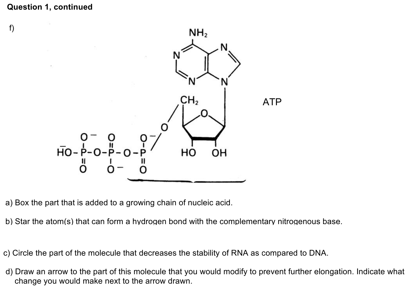 exam1-1-prompt-2
