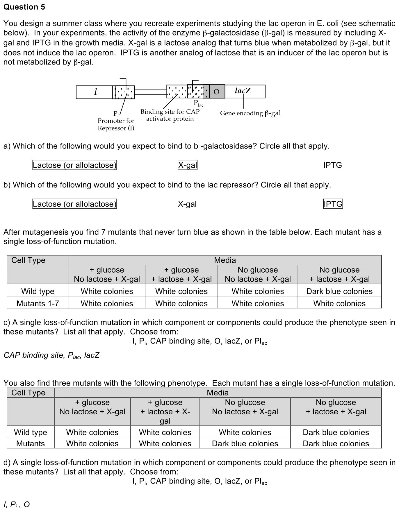 exam2-5-solution-1