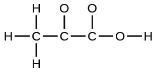 A Lewis structure is shown. A carbon atom is single bonded to three hydrogen atoms and another carbon atom. The second carbon atom is single bonded to an oxygen atom and a third carbon atom. This carbon is then single bonded to two oxygen atoms, one of which is single bonded to a hydrogen atom.