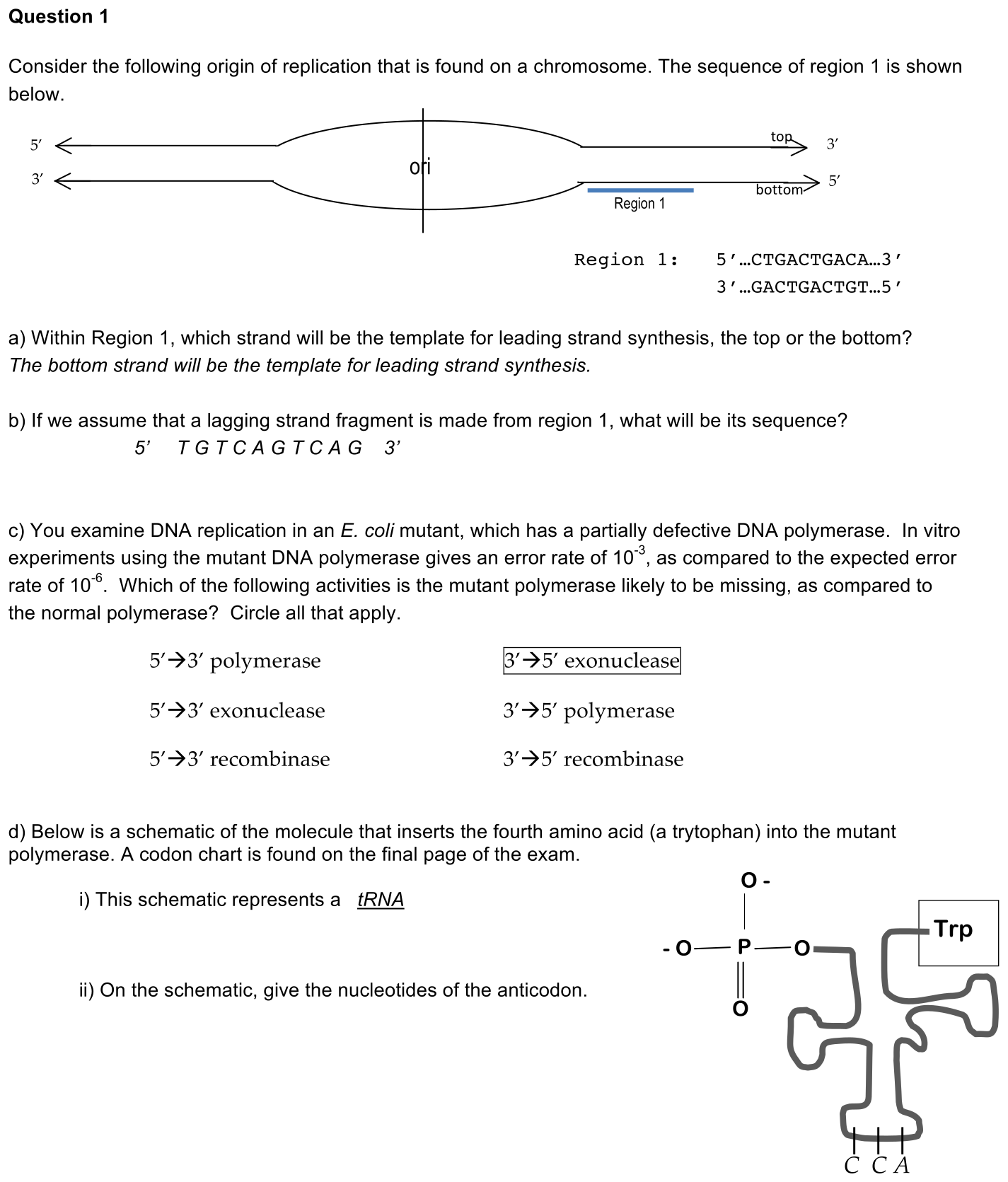 exam2-1-solution-1