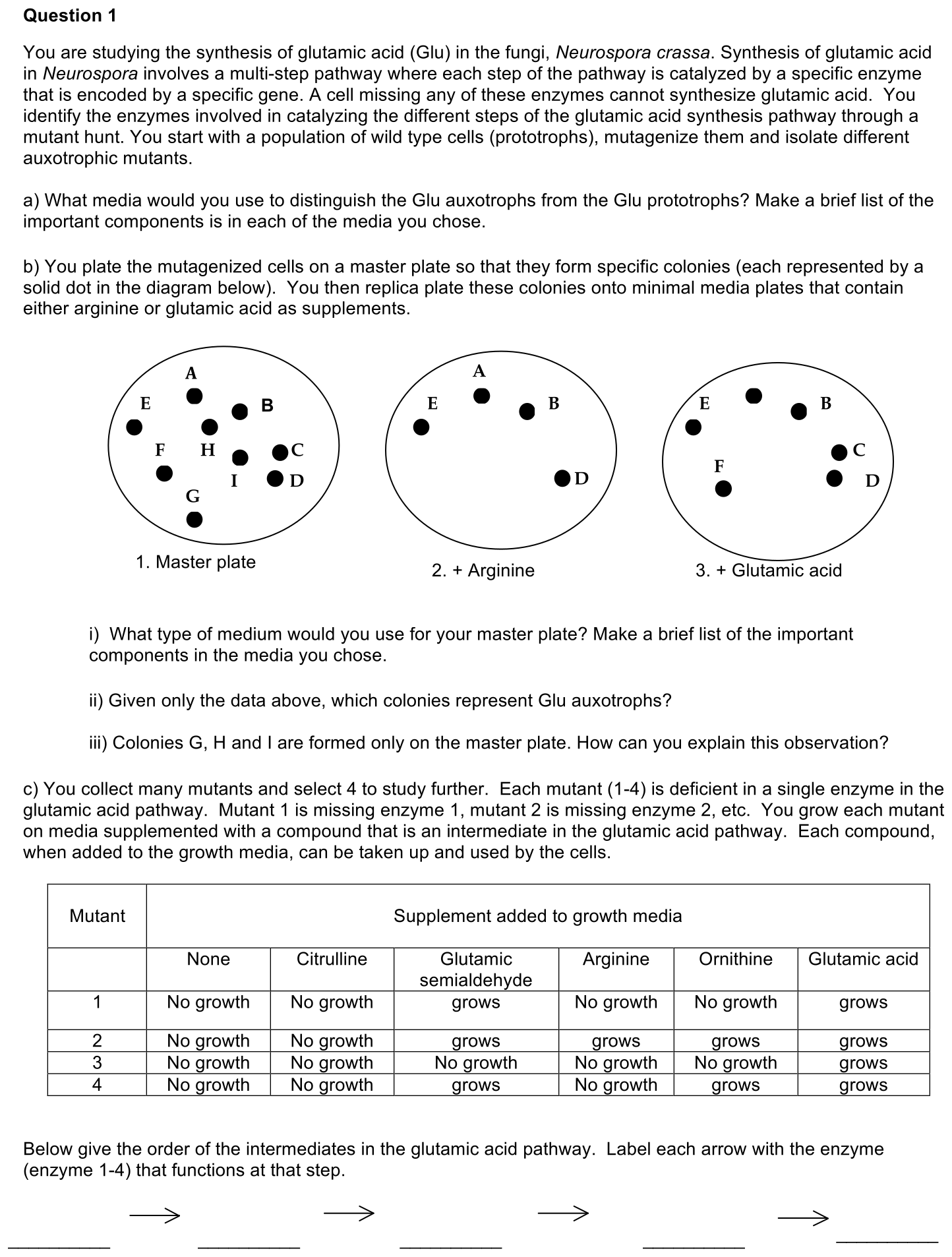 3.4-1-prompt-1