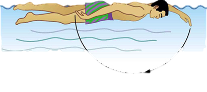 A person swimming and his arm motion in each stroke is represented. The arm action is shown by an arc starting from where his hand enters the surface of the water and ending at the point where his hand emerges from the water. The diameter of this arc made by the person’s hand tip in one stroke is one point eight meters.
