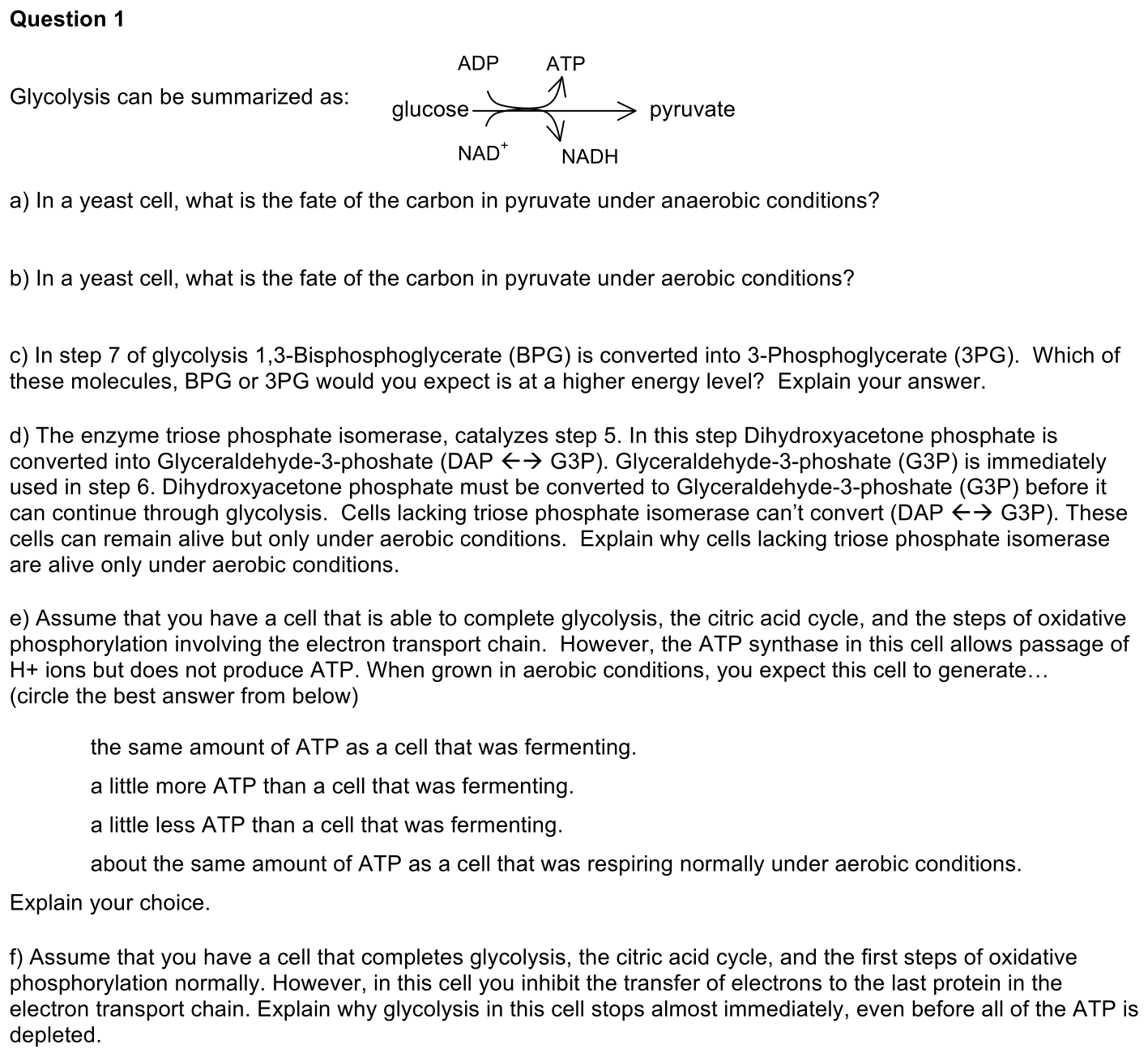 1.6-1-prompt-1