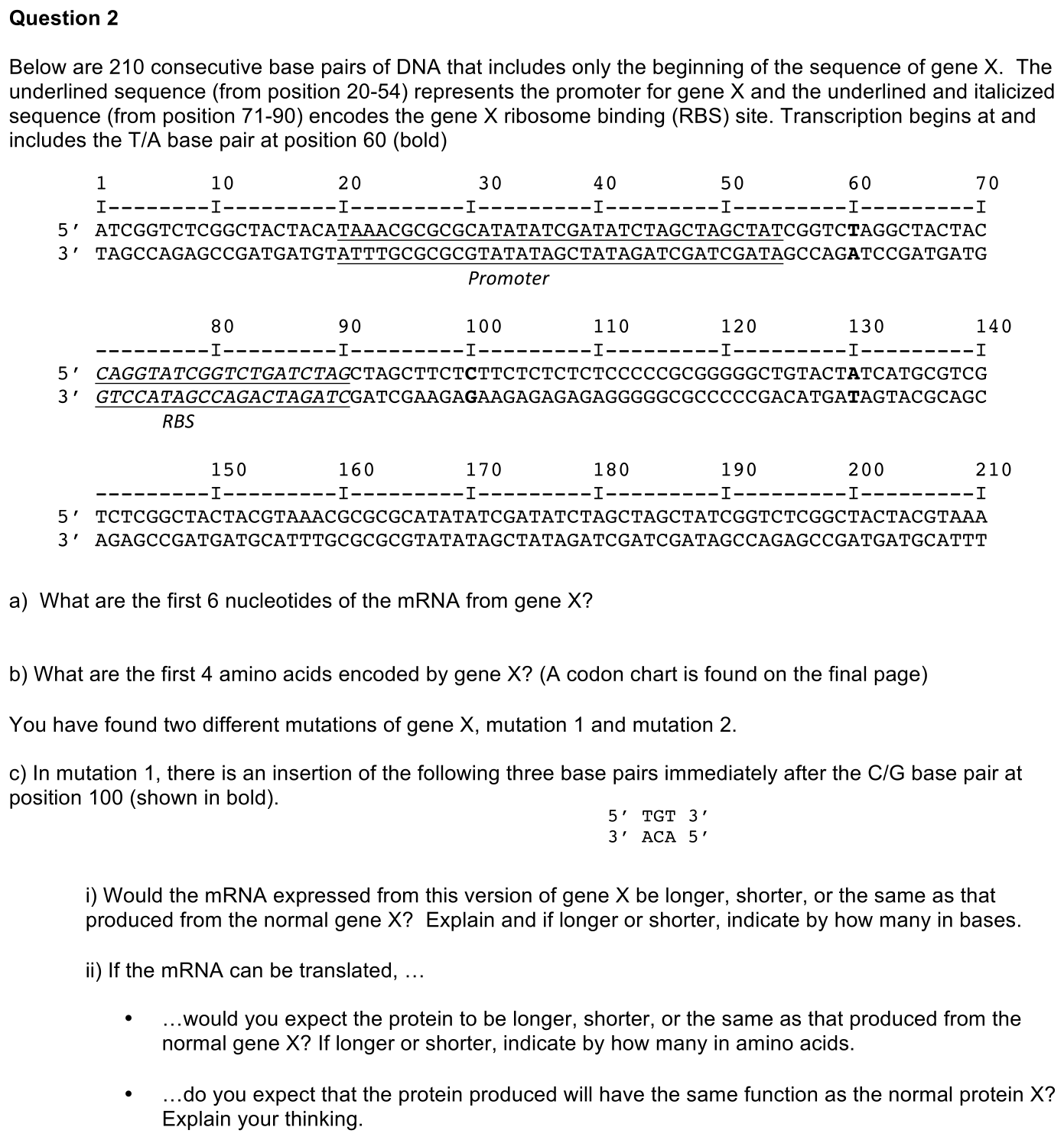 exam2-2-prompt-1
