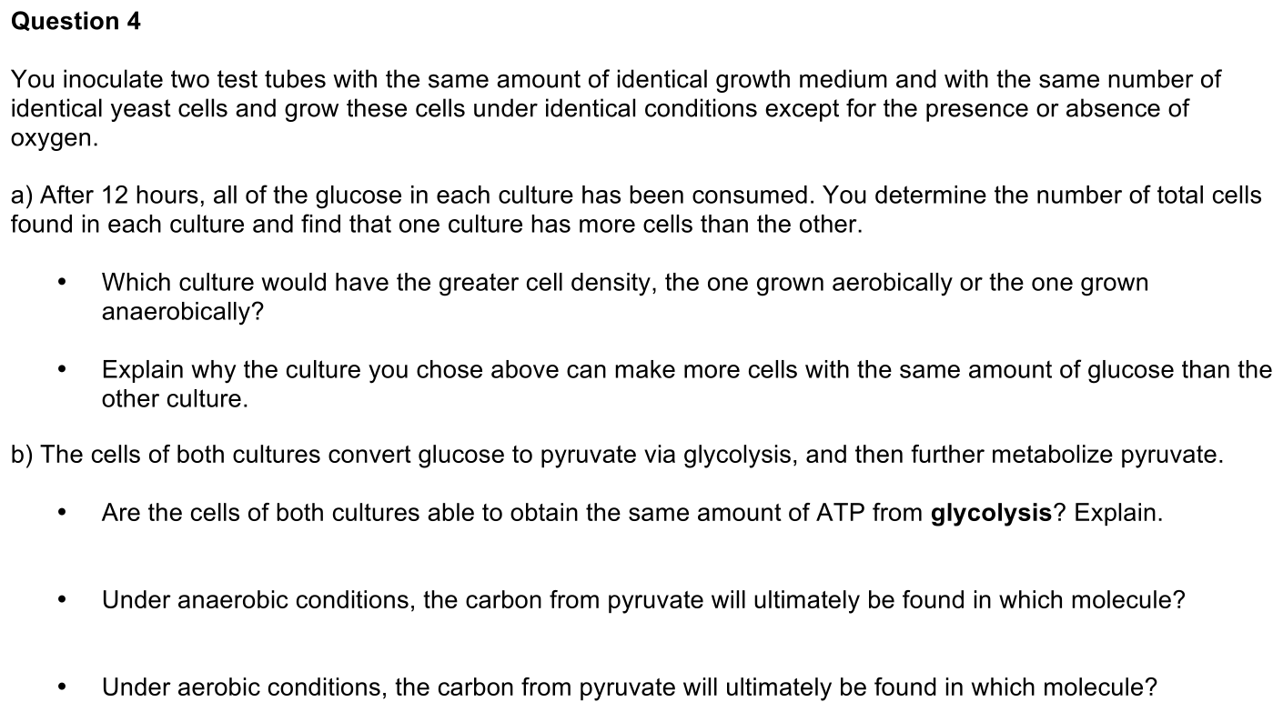 exam1-4-prompt-1