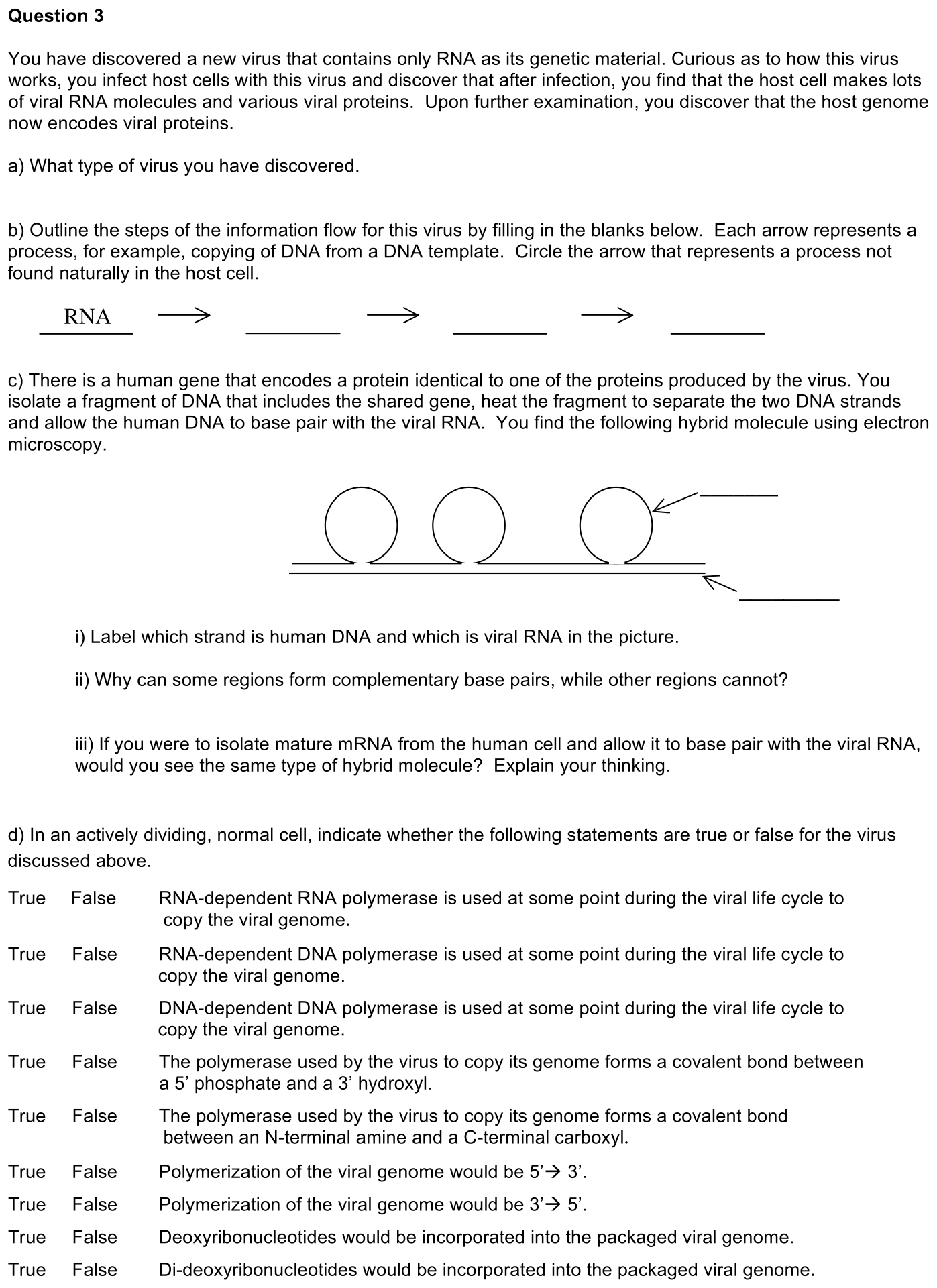 exam2-3-prompt-1