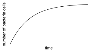 A graph is shown with a horizontal axis of ”time” and a vertical axis labeled ”number of bacteria cells”. A curve is shown rising steeply on the left, and as it moves right, it rises more slow until it nearly stops rising as it reaches right side of the graph.