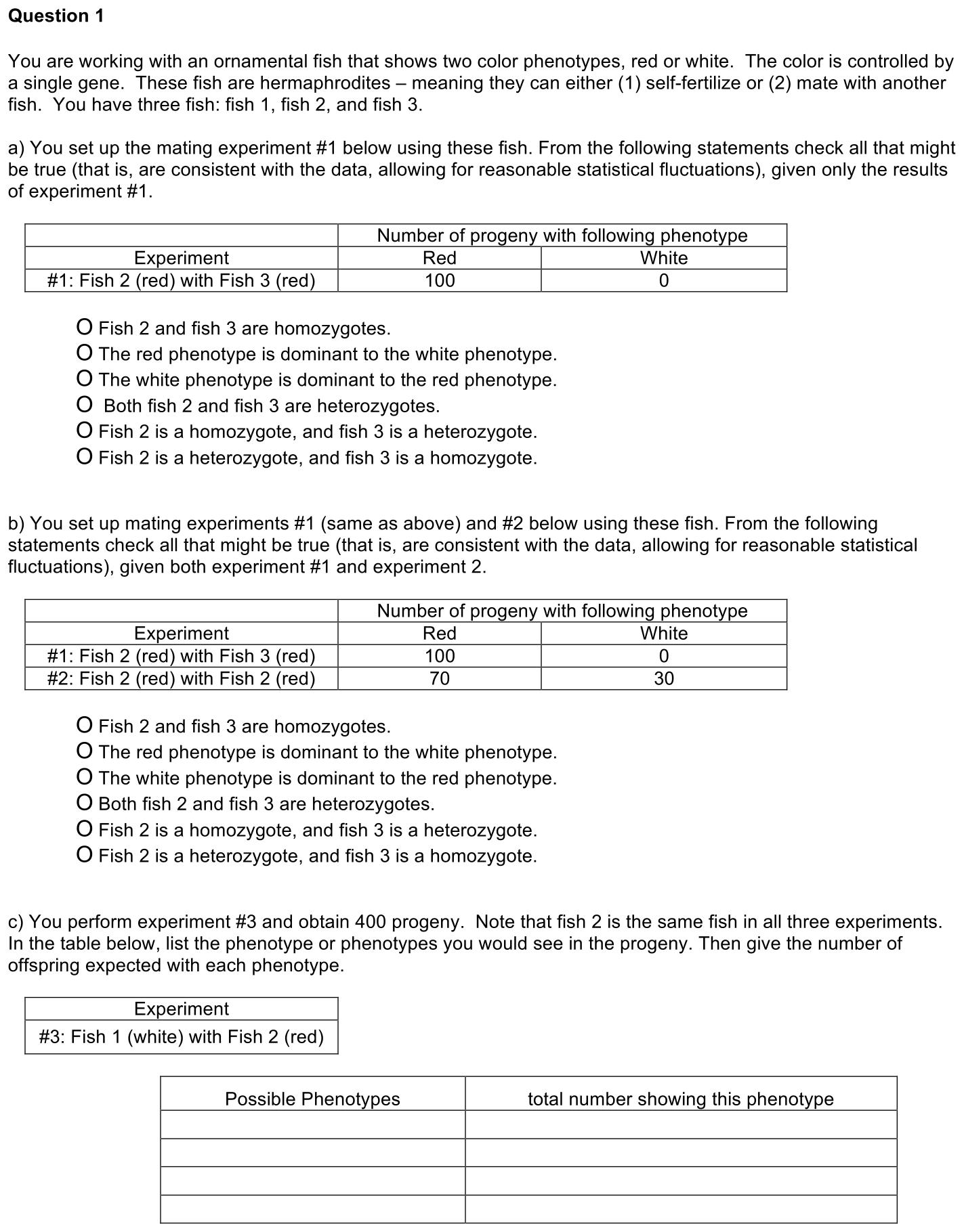 exam3-1-prompt-1