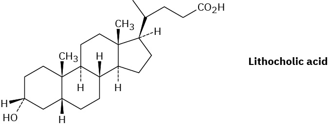 The figure shows the wedge-dash structure of lithocholic acid.