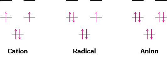 The energy levels of the cyclopentadienyl cation show two unpaired electrons. That of the radical shows one unpaired electron, and the anion does not have any unpaired electrons.