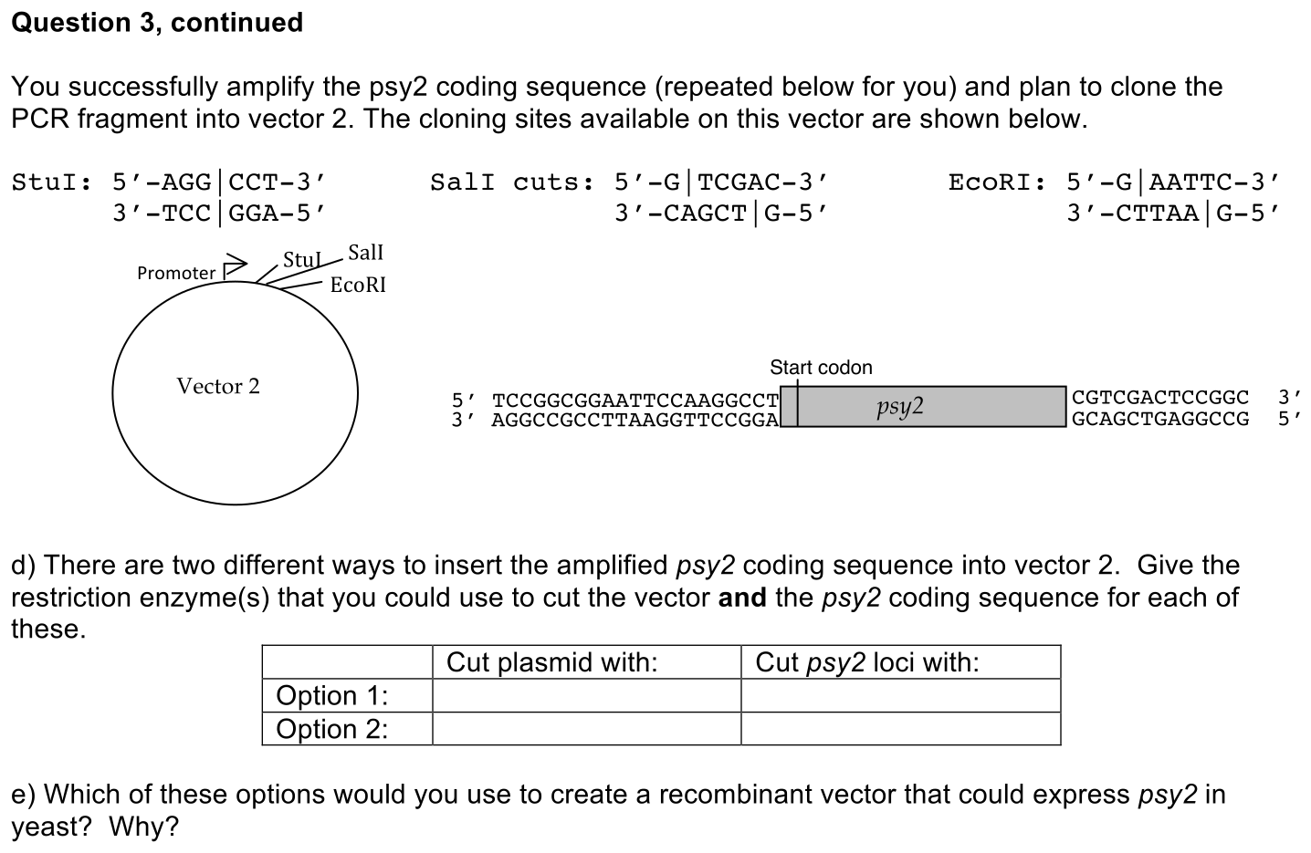 exam4-3-prompt-2