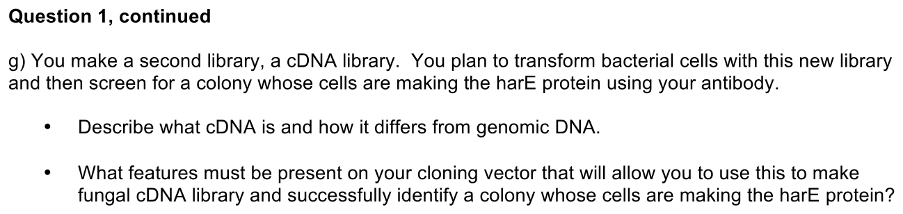 4.4-1-prompt-2