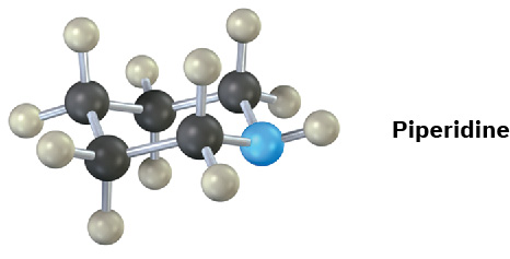 The ball-and-stick model of piperidine, a six-membered, single-bonded ring, one member of which is nitrogen with a hydrogen.