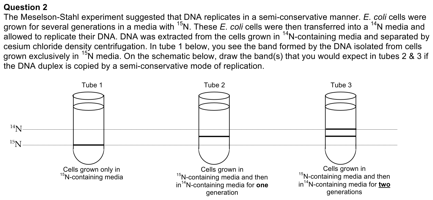 2.1-2-solution-1