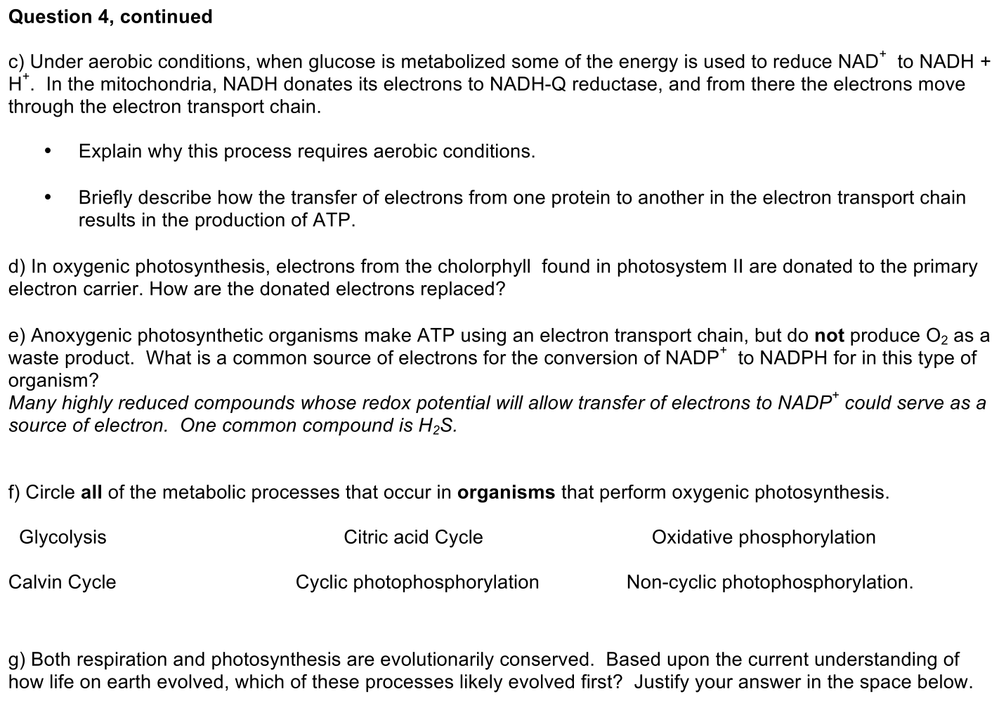 exam1-4-prompt-2