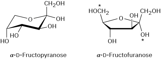 Structures of alpha D-fructopyranose and alpha-D fructofuranose with 6-membered and 5-membered ether rings, respectively. In both structures, the anomeric O H group on C 2 is pointing down.