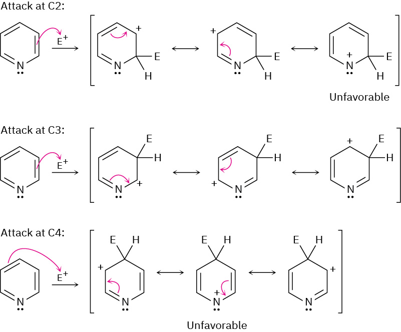 The attack of electrophile at C 2, C 3, and C 4 of pyridine. Mechanisms showing attack at C 2 and C 4 are labeled unfavorable.