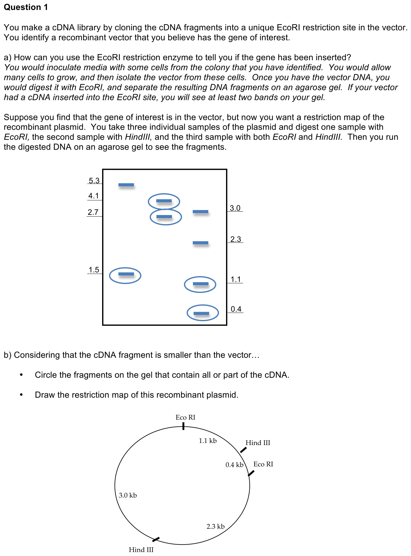4.5-1-solution-1