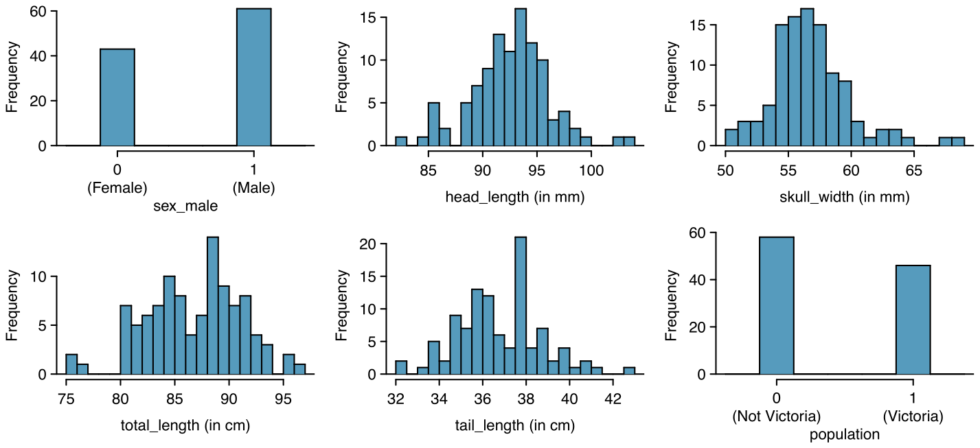 Six plots are shown for the distributions of each predictor variable. For the ”sex_male” categorical variable, about 42 observations are ”0 (female)” and 65 are ”1 (male)”. For the ”head_length (in mm)” variable, a histogram is shown that is approximately bell-shaped, centered at about 93, and has a standard deviation of about 3. For the ”skull_width (in mm)” variable, a histogram is shown for a slightly right-skewed distribution is shown with its peak at about 56 and a standard deviation of about 3. For the ”total_length (in cm)” variable, a histogram is shown with most values ranging from about 80 to 95, with no major outliers. For the ”tail_length (in cm)” variable, a histogram is shown with most data between about 33 and 42, with no major outliers. For the ”population” categorical variable, about 58 observations are ”0 (Not Victoria)” and 45 are ”1 (Victoria)”.