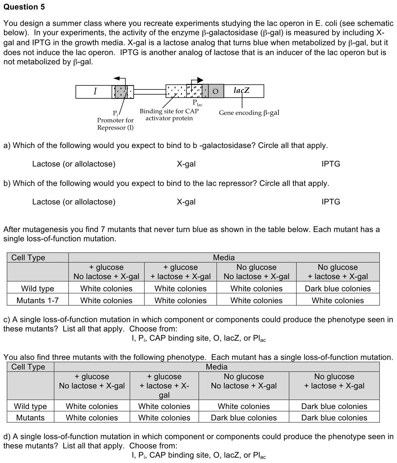 exam2-5-prompt-1