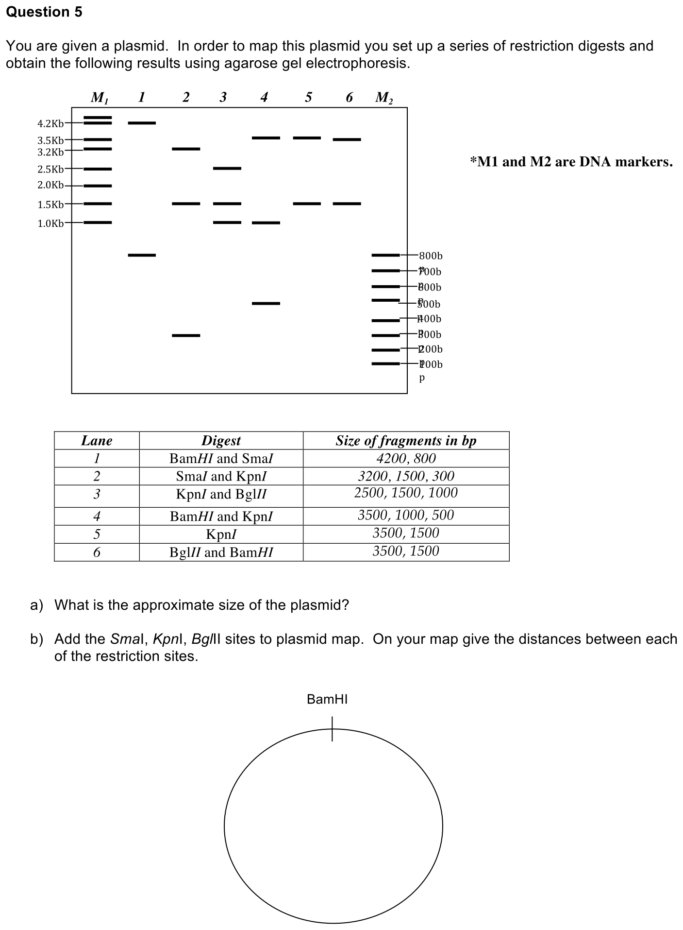exam4-5-prompt-1