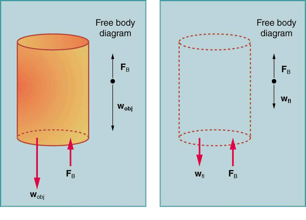 An object immersed in a fluid rises if its buoyant force is greater than its weight and sinks if its buoyant force is less than its weight. By Archimedes’ principle the buoyant force equals the weight of the fluid displaced.