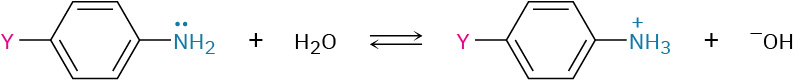 The reversible reaction of para-substituted amine with water to form para-substituted anilinium ion and hydroxide ion.